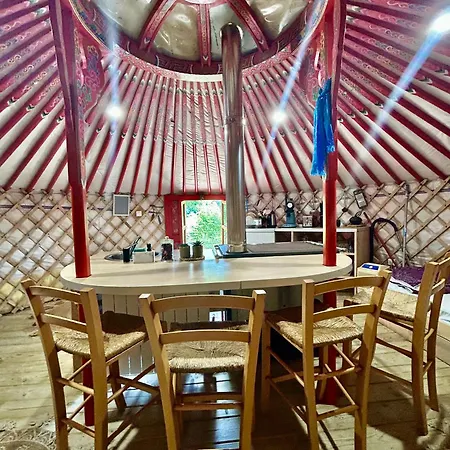 Ravissant Yourte Traditionnelle Lüks kamp alanı *